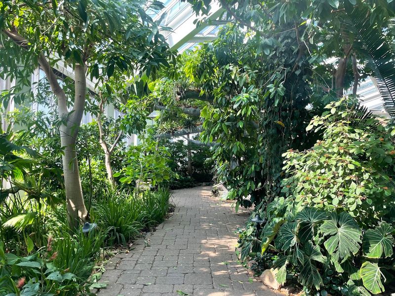 The Spice and Tropical Fruit Exhibit That Surprises Everyone The Spice and Tropical Fruit Exhibit That Surprises Everyone