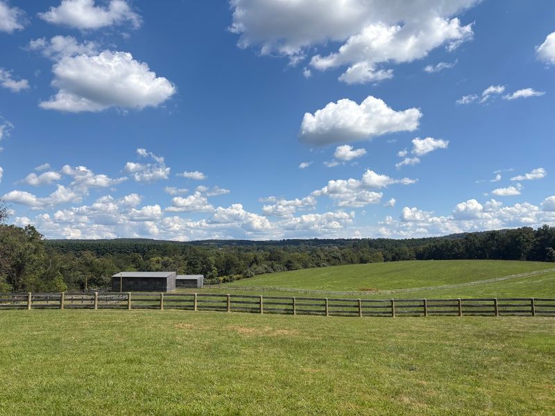 Seasonal Visits and Why Every Season Has Its Own Charm