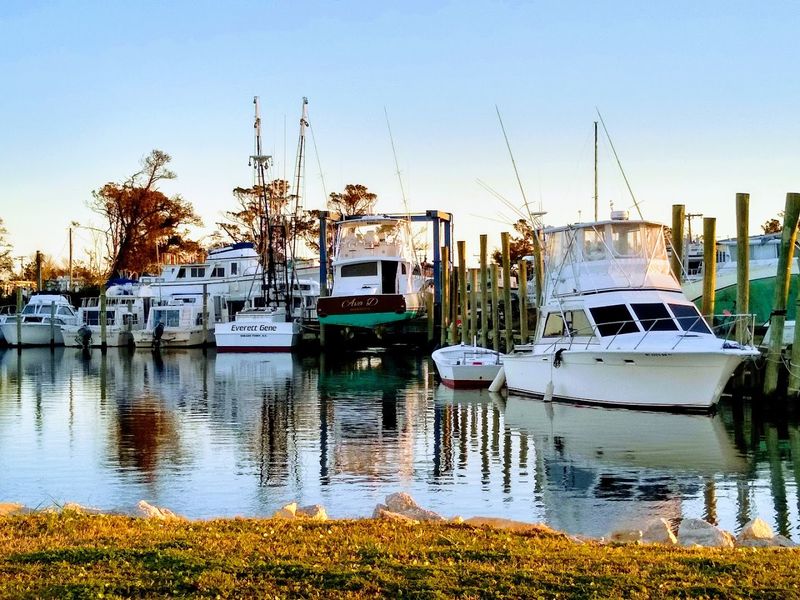 Nearly Half The Island Shares The Last Name Willis