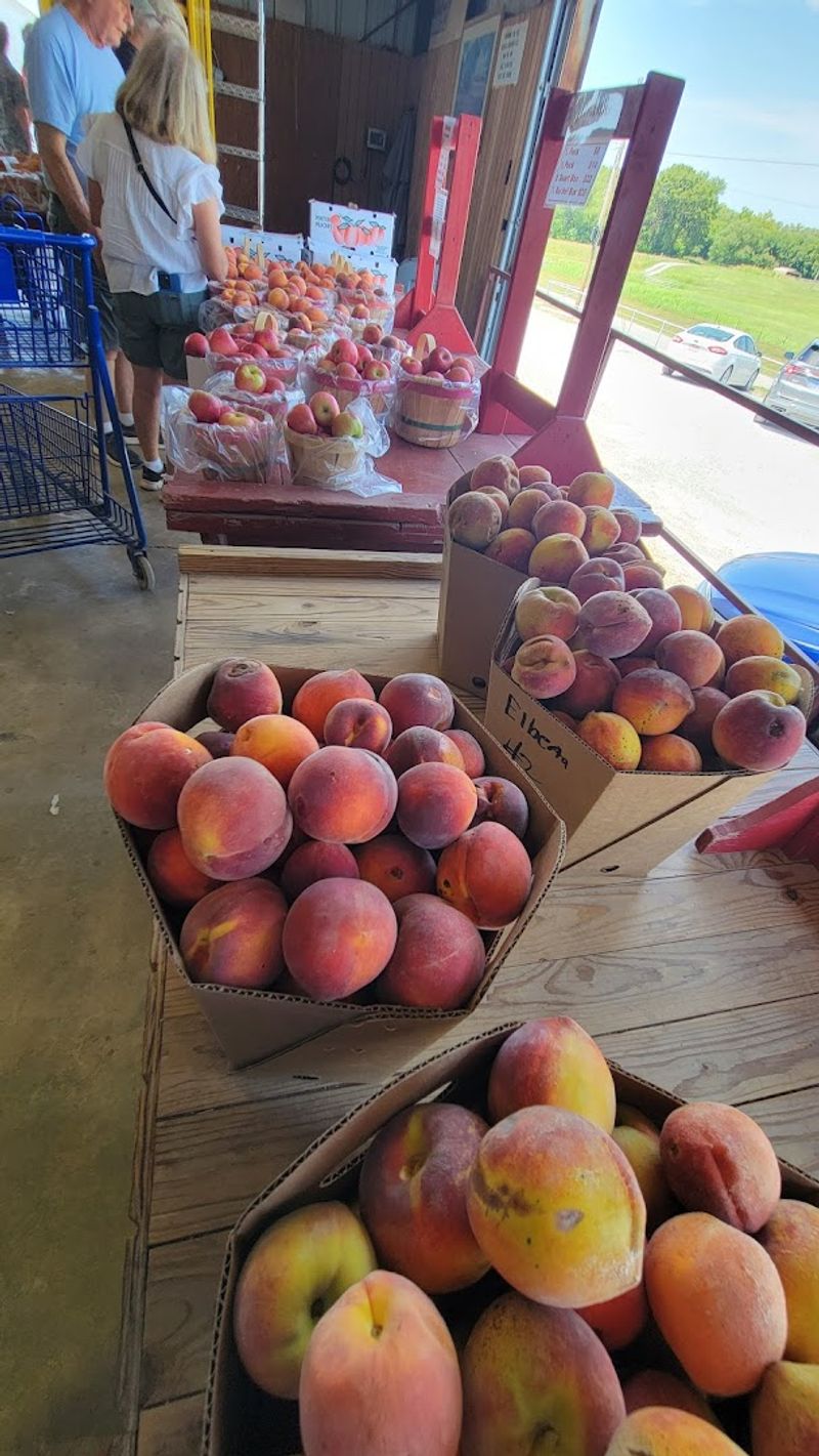 Why This Orchard Keeps Drawing People Back Year After Year