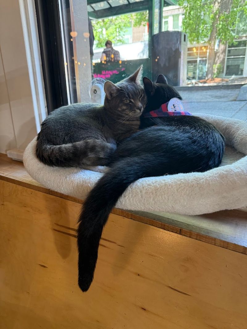 Huddles Of Friends Peering Through The Glass Window