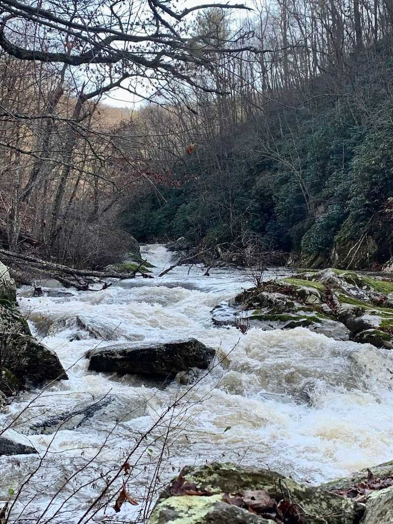 Why The Nature Conservancy Chose This Spot to Protect