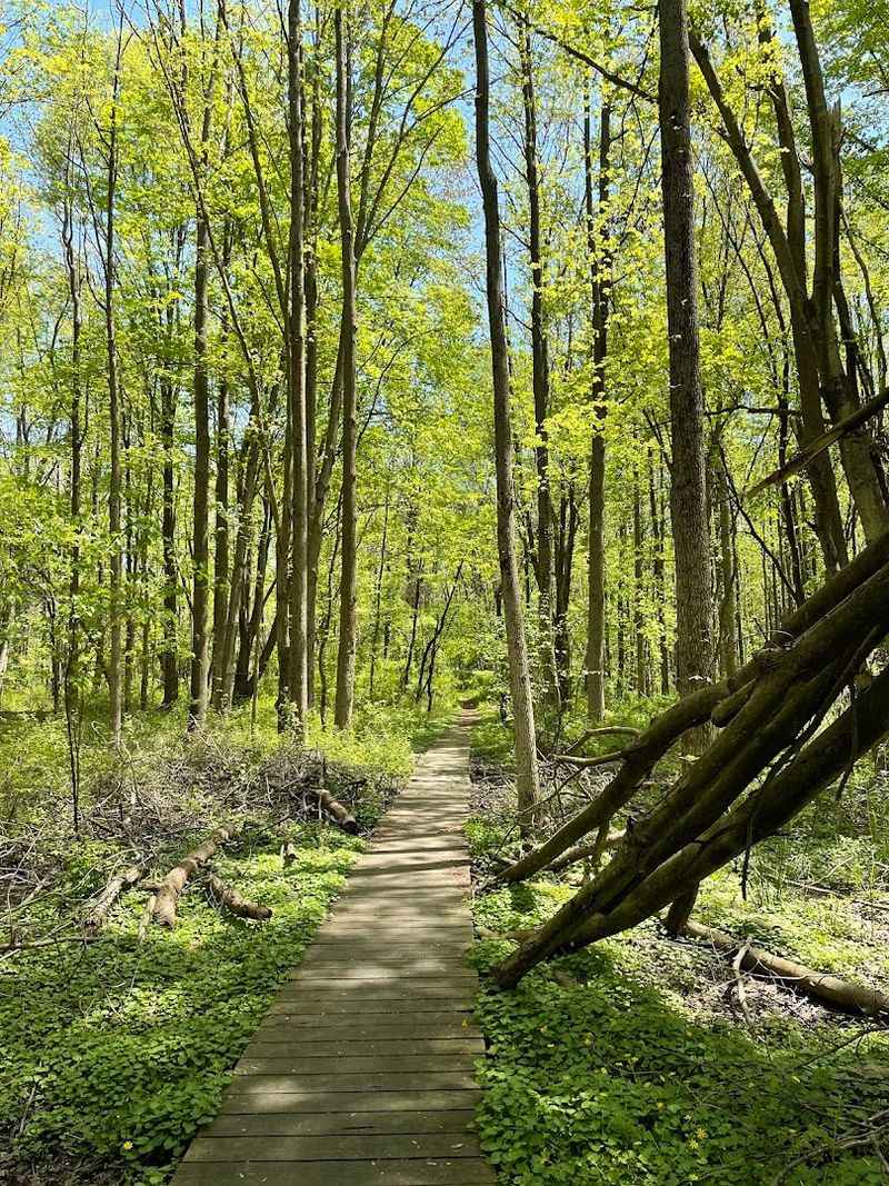 Paved Paths That Make Every Step Feel Easy Paved Paths That Make Every Step Feel Easy
