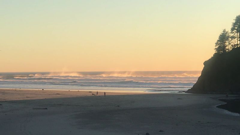 The Wind-Sheltered Cove: Built for Doing Nothing