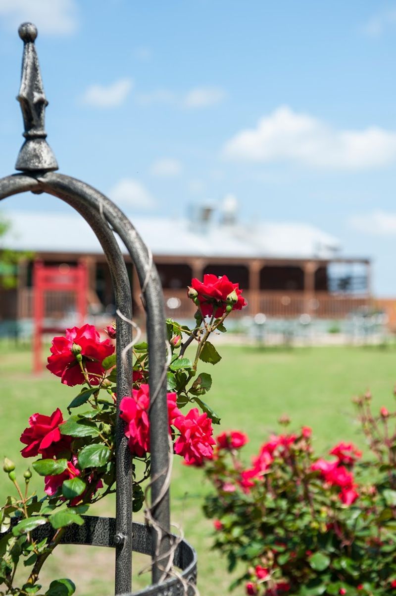 Why People Keep Making the Trip Back