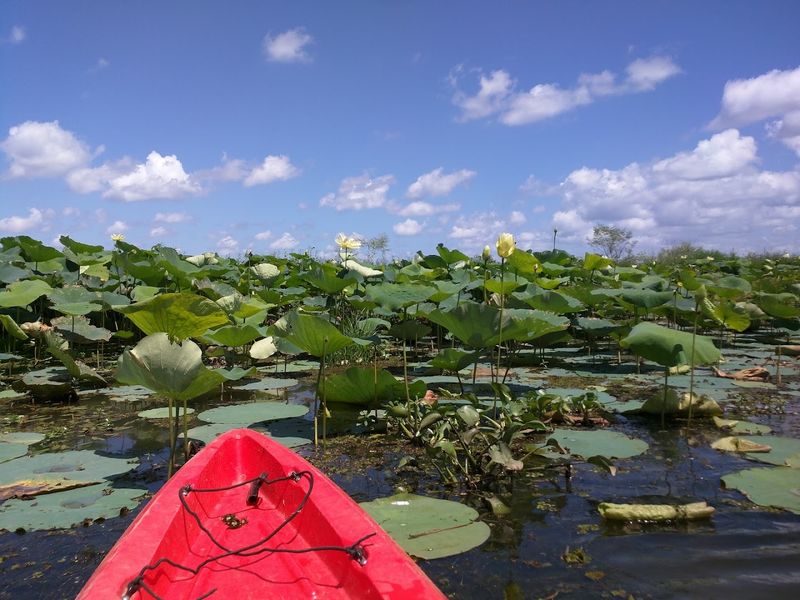 Kayak and Canoe Rentals at the Park Headquarters