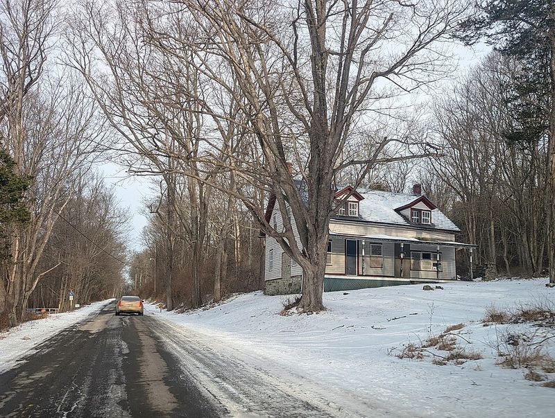 Food and Foraging in a Nearly Empty Township