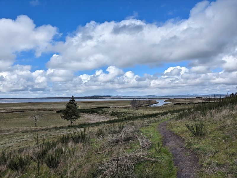 Elk Sightings on the Trail: Wild Encounters You Will Not Forget