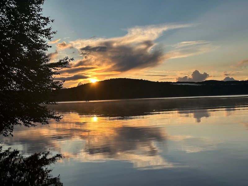 Horserace Ponds Up Close: What Makes Them Different