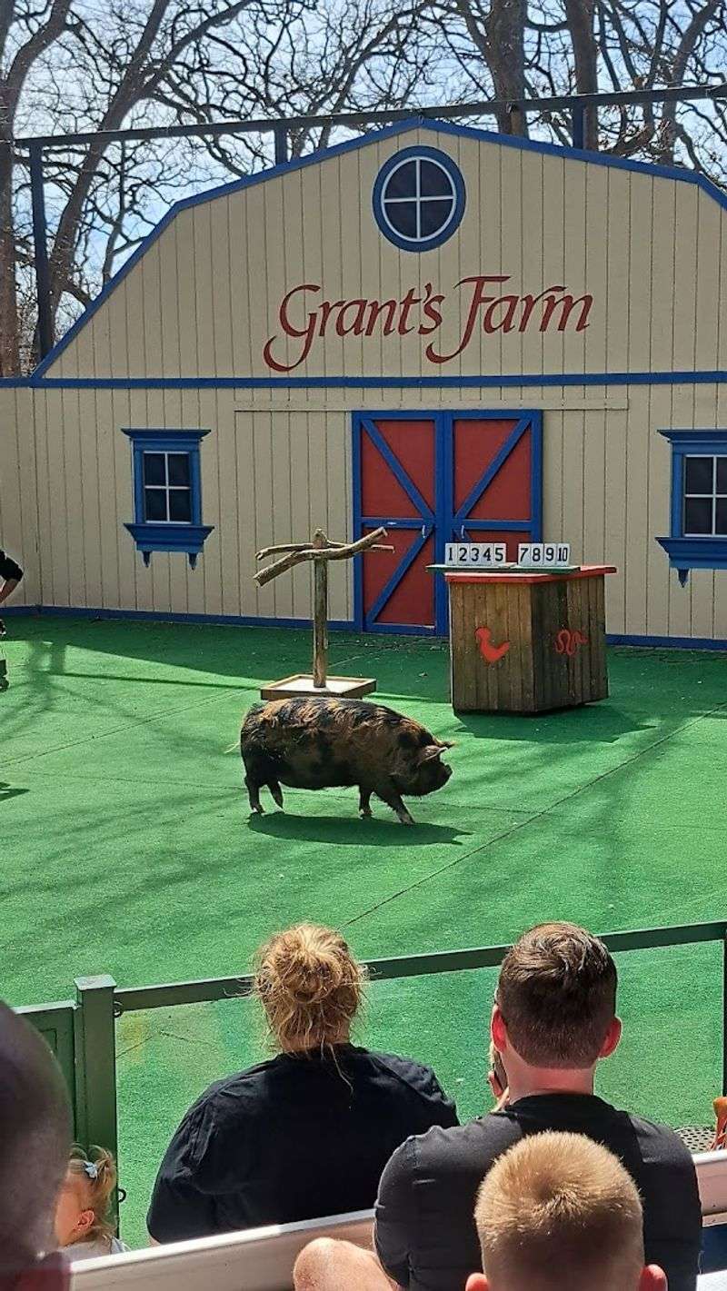 More Than Nine Hundred Animals Keep Things Busy