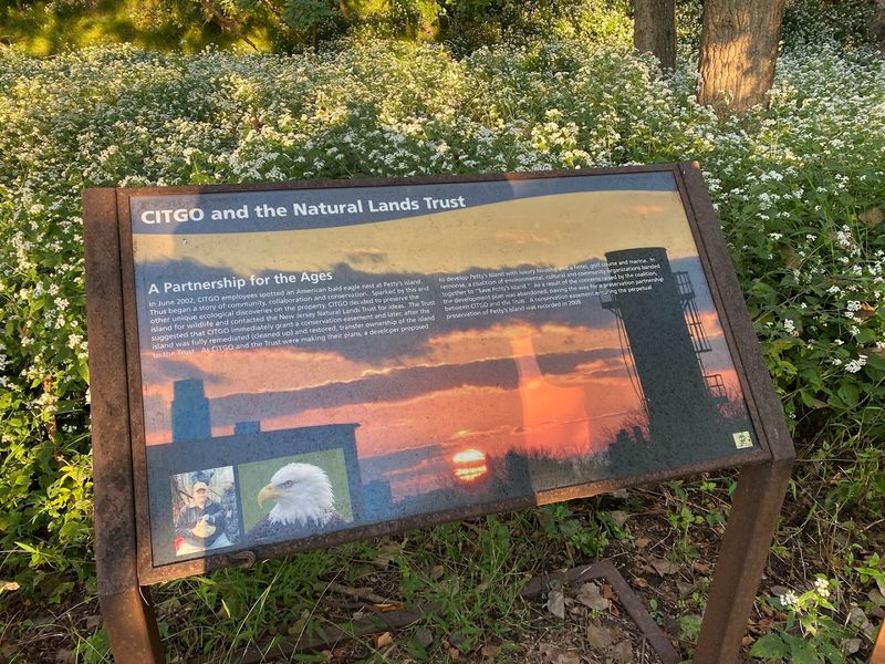 Why Access Is Restricted and Why That Actually Makes It Better