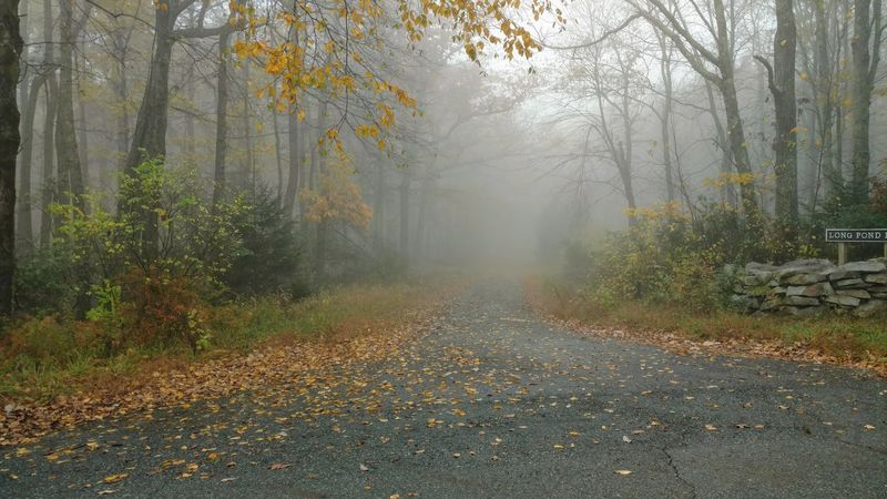 Ghost Town Energy Without the Gimmicks