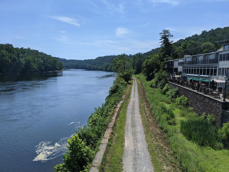 Birdwatching Along the River Banks