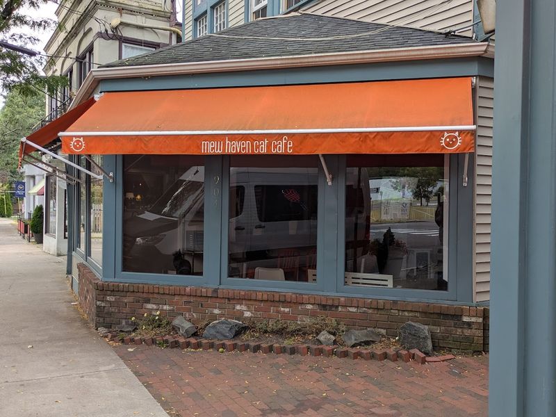 The Orange Storefront On Whalley Avenue