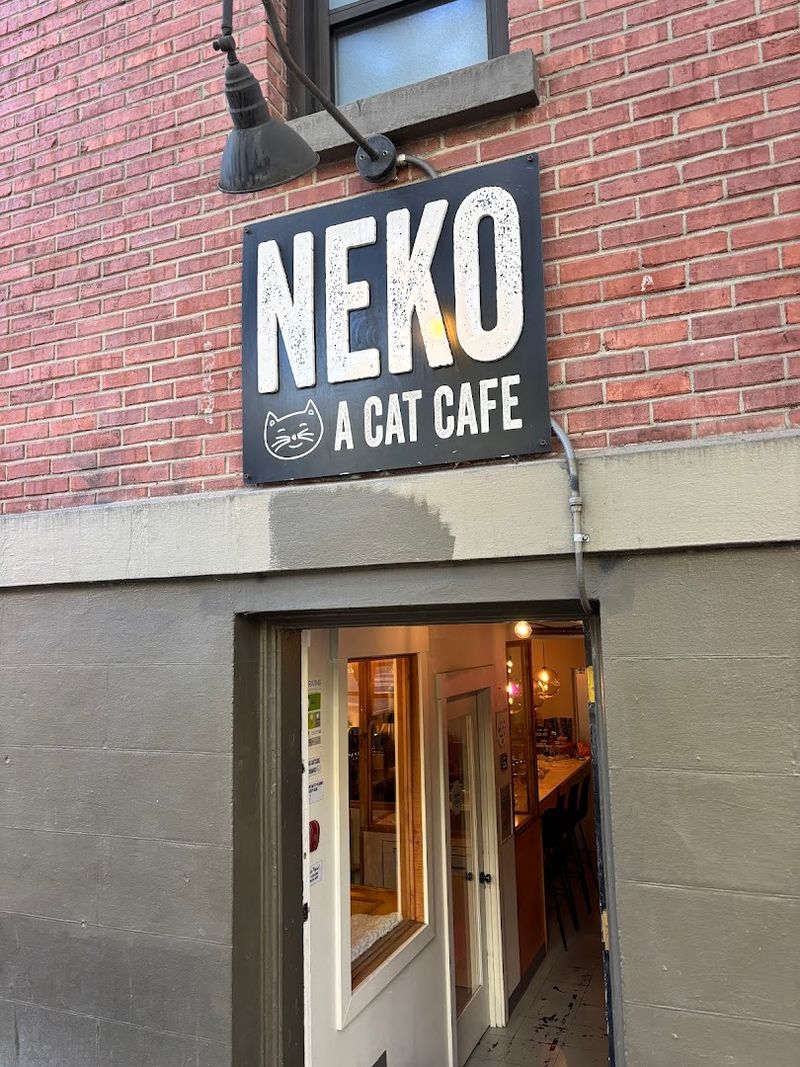 The Corner Of Pine And Belmont On Capitol Hill