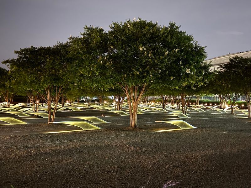 184 Benches, 184 Stories Worth Knowing 184 Benches, 184 Stories Worth Knowing