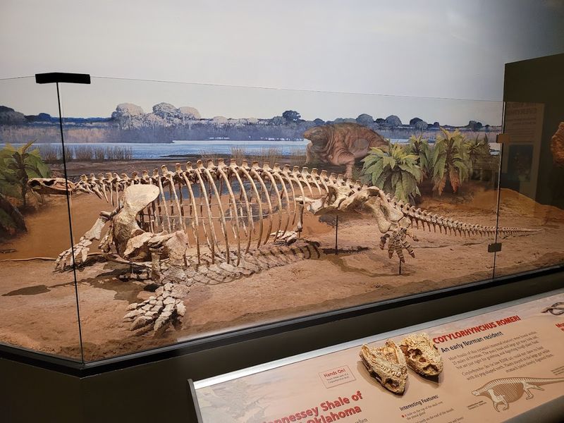 A Journey Through 4 Billion Years of Earth History