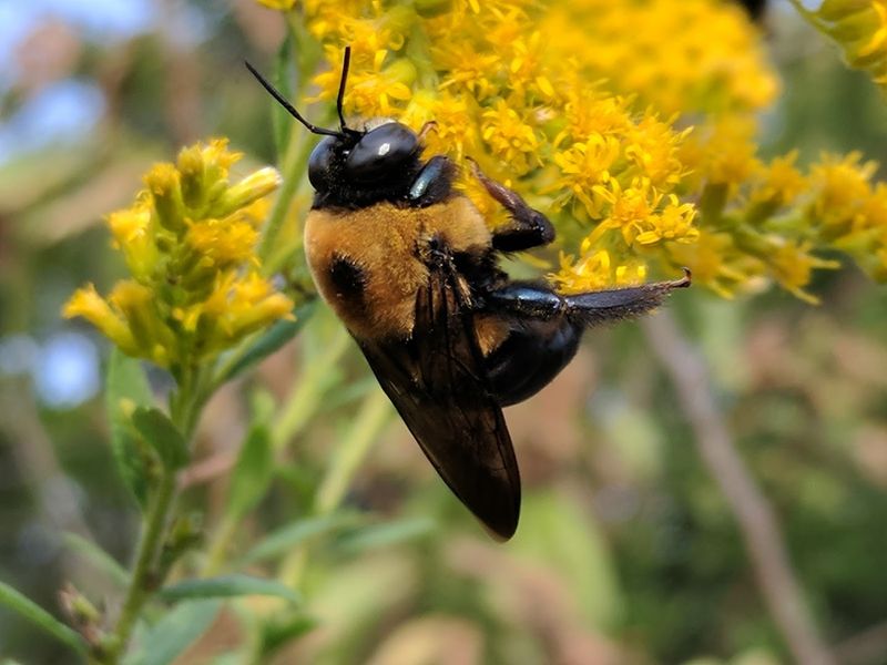 Wildlife Beyond the Birds