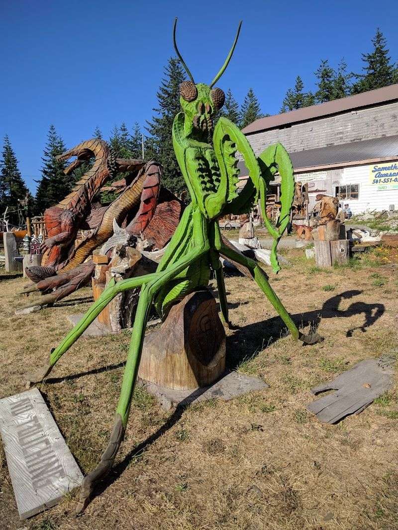 Stopping Safely on Highway 101 for a Roadside Gem