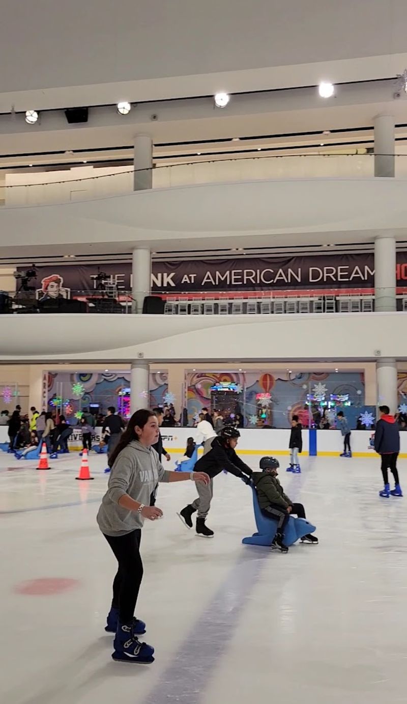 The Rink: NHL-Sized Ice Skating Right Inside the Mall