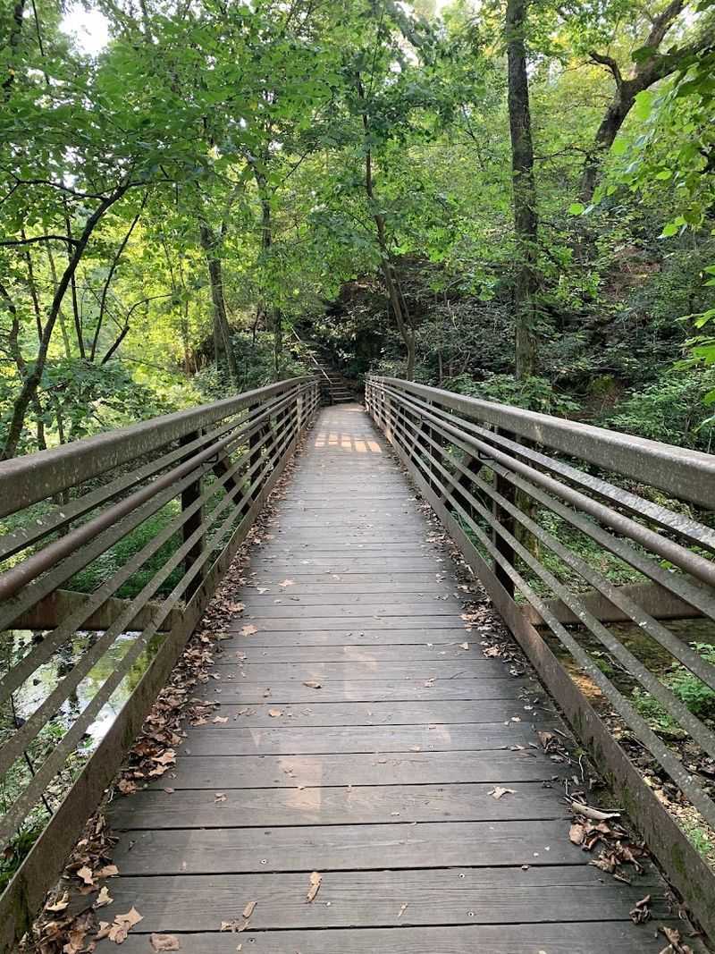 The Footbridge That Hangs Above the Falls