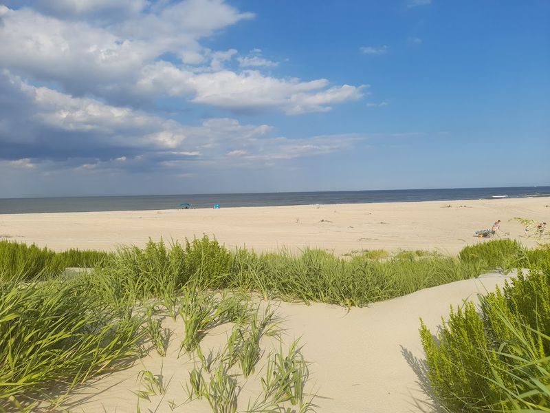 Quiet Shores Far From The Busier OBX Scene