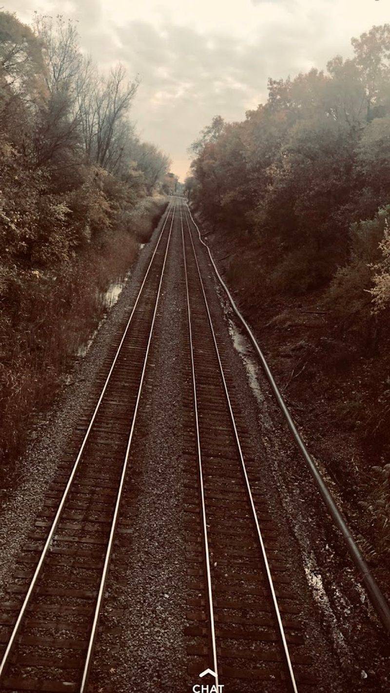 The Oak Savannah Trail Adds a Natural Dimension to Your Visit