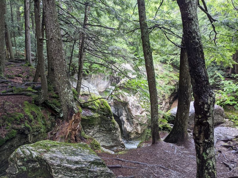 A Shady Trail That Winds Through Cool Green Quiet