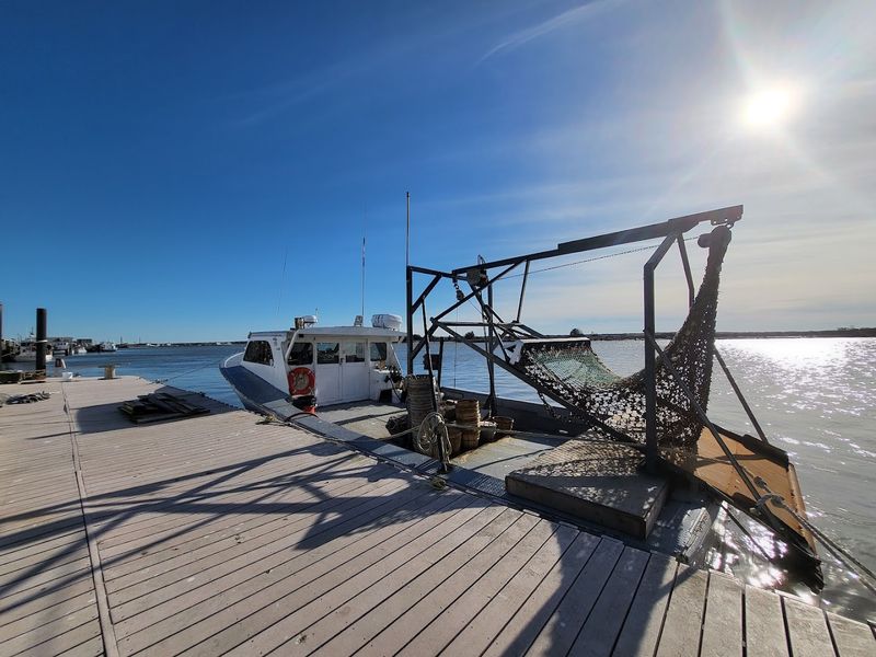 The Oyster Industry's Rise and Fall: A Story Worth Knowing