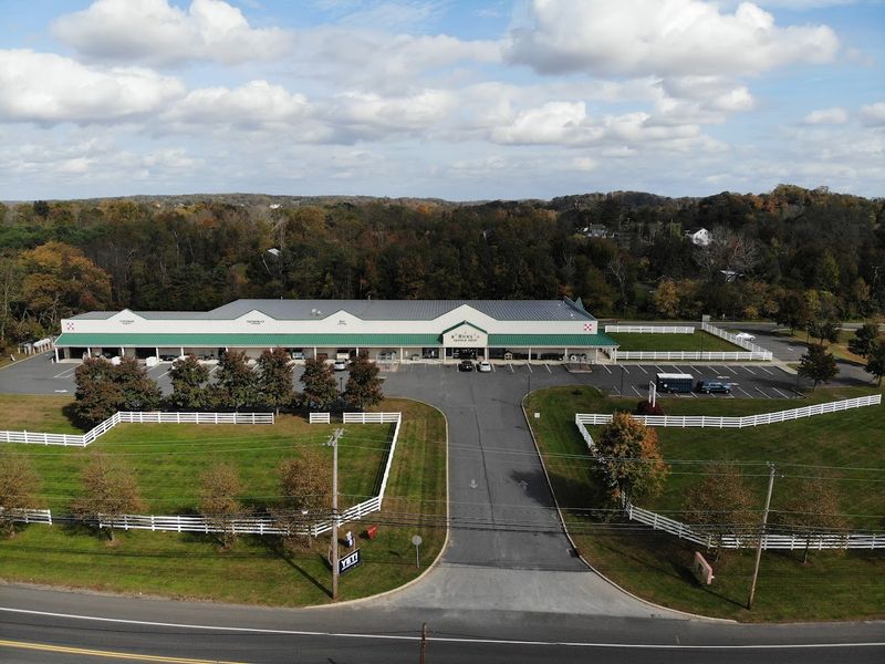 Loyalty Rewards, Local Honey, and the Little Things That Keep You Coming Back