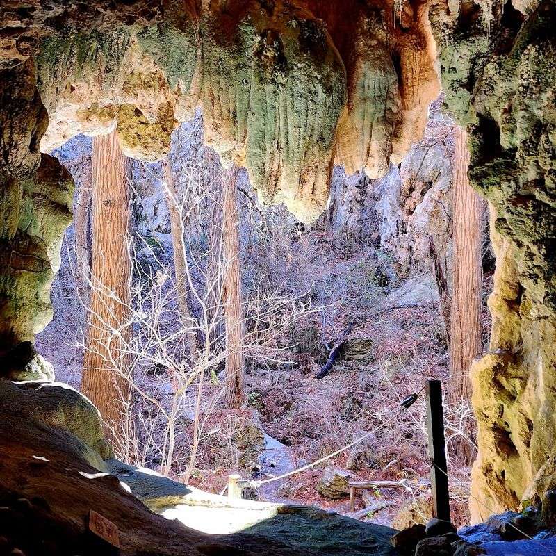 Conservation History: How This Place Was Saved