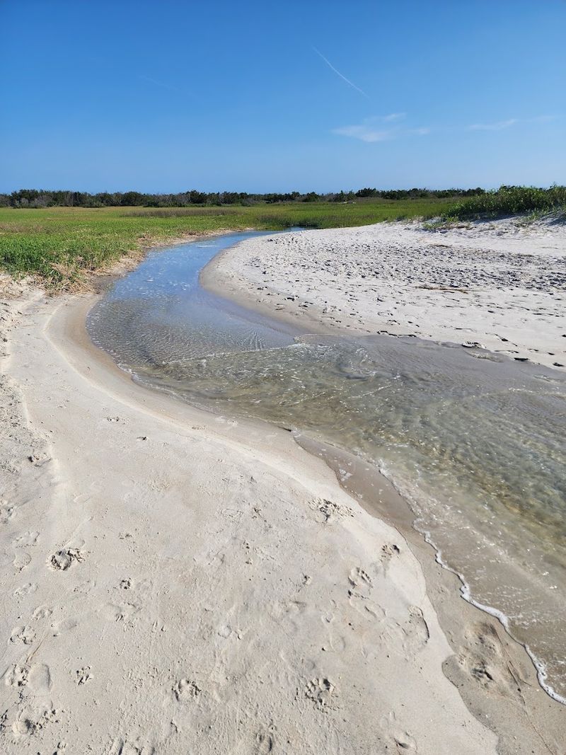 Shelling Treasures After The Tide Retreats