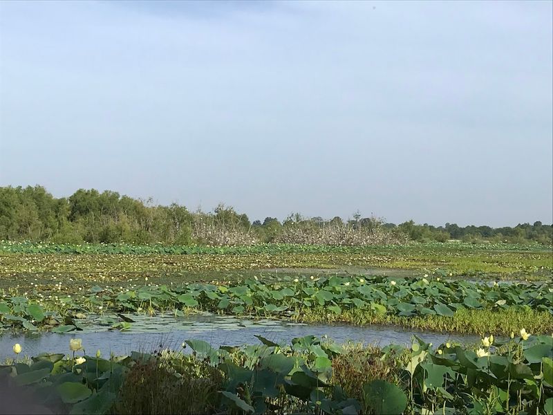 A Wetland Ecosystem Unlike Anything Else in Oklahoma