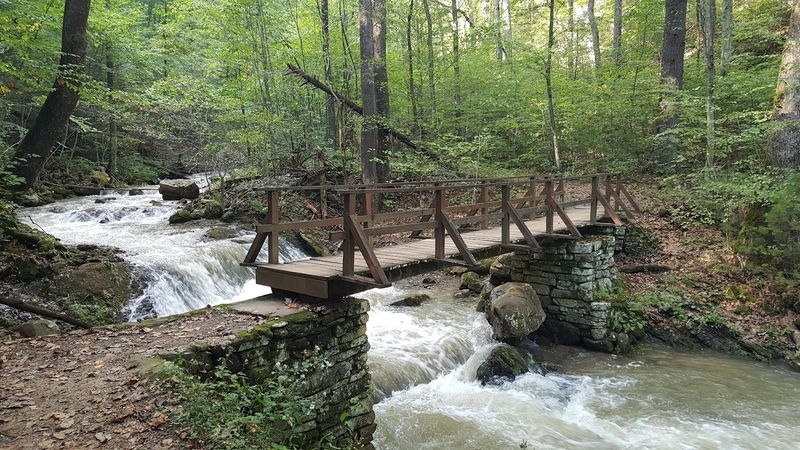 The Streamside Trail Is Pure Magic on Foot