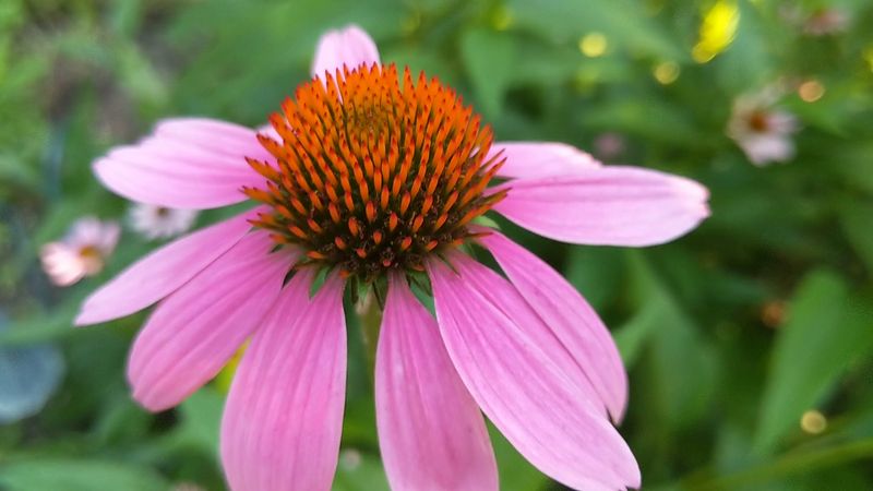 Packing the Perfect Snack Bag for the Trail