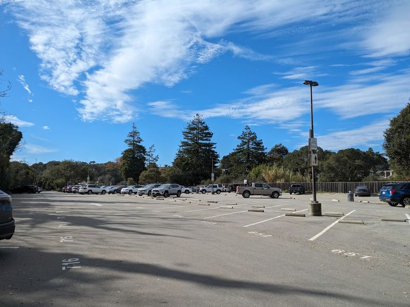 Parking Pressure Can Shape The Whole Visit