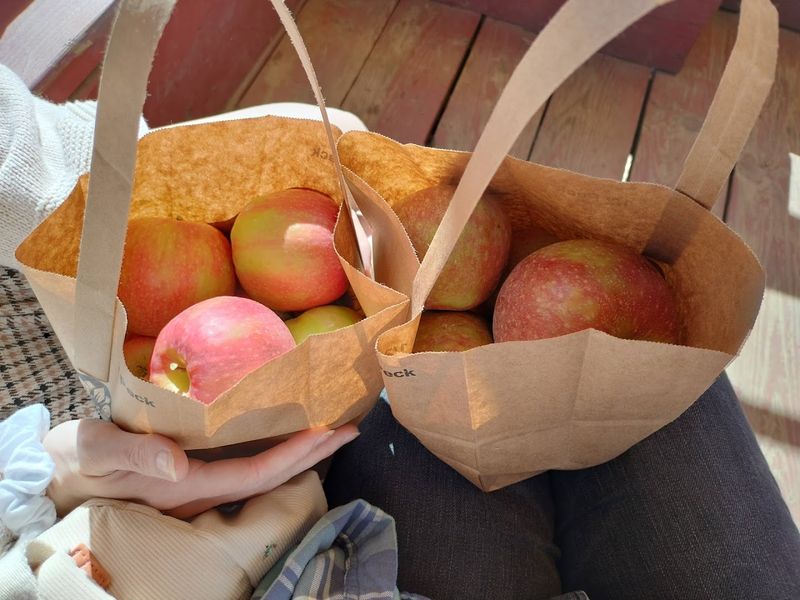 Pick-Your-Own Produce Straight from the Fields