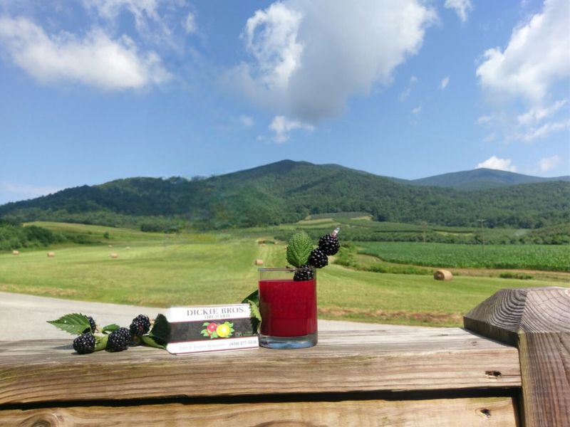 Beef Cattle Raised Right on the Property