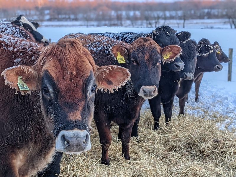 Farm Tours, Hayrides, and Family Activities