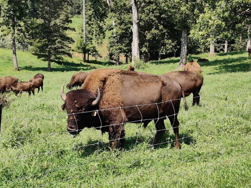 The Magic of Culpeper, Virginia as a Base Camp