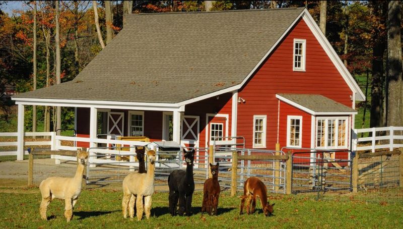 The Farm Setting in Somerset Hills, New Jersey