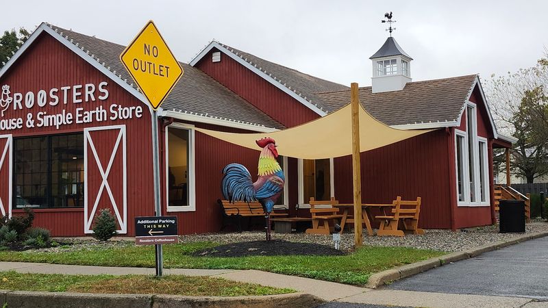 A Dog-Friendly Patio Worth Barking About