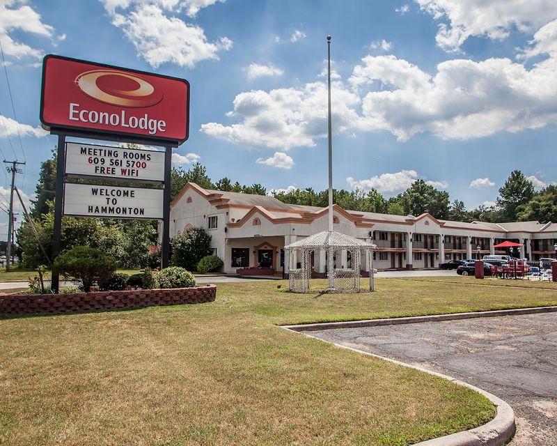 Picking Fresh Blueberries Straight From the Farm