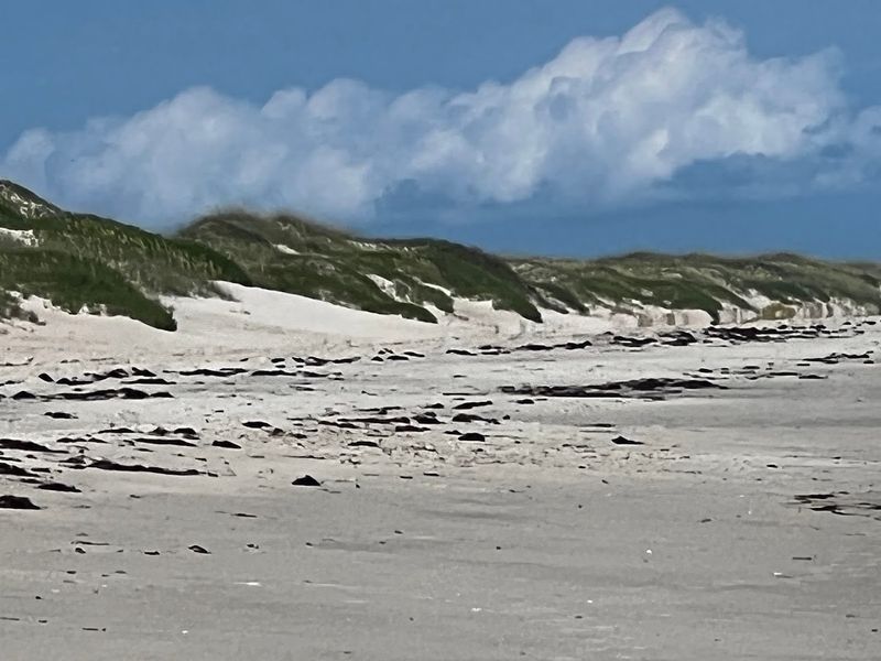 The Wide Quiet Of Ocracoke Beach