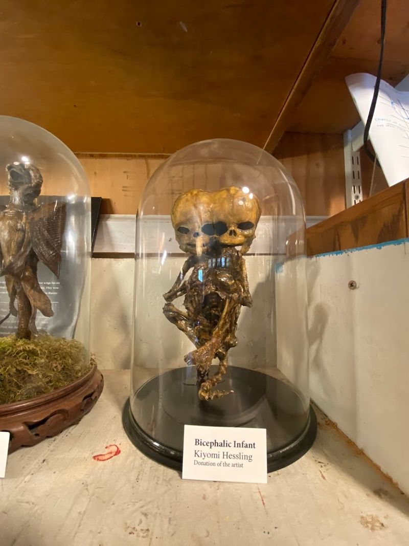 The Art That Makes You Stop and Stare