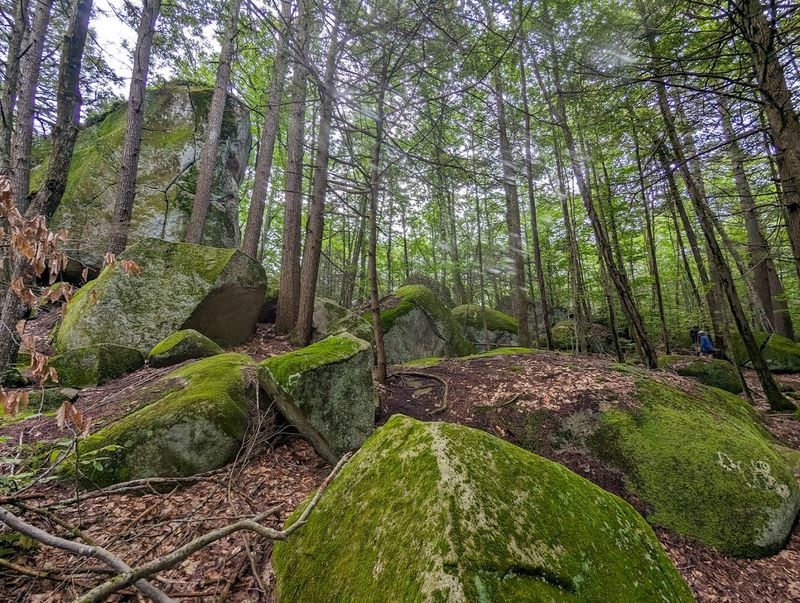Boulder Field: Where the Ice Age Left Its Business Card