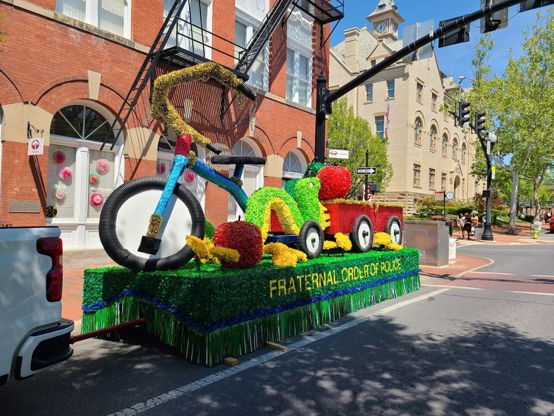 Festival Food Scene: Eating Your Way Through The Bloom