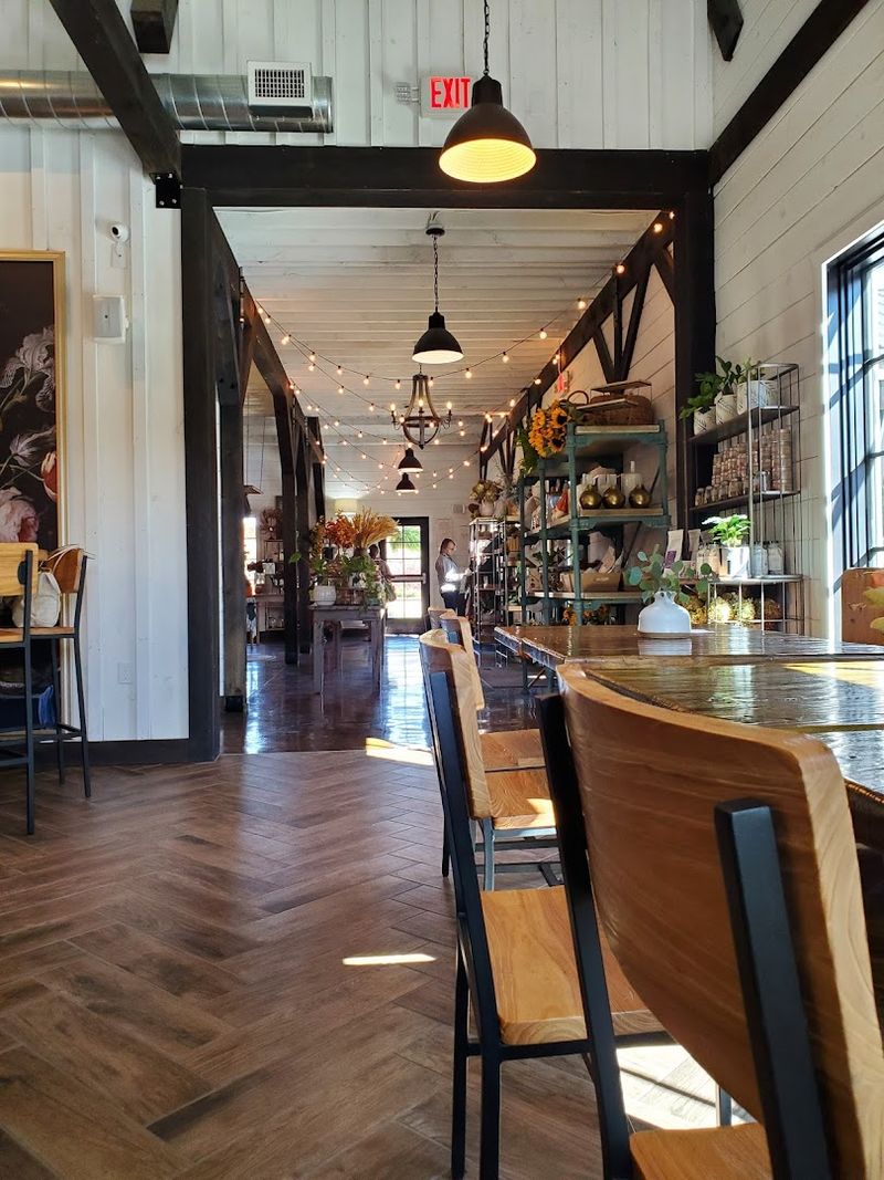 The Story Behind Long Row Lavender