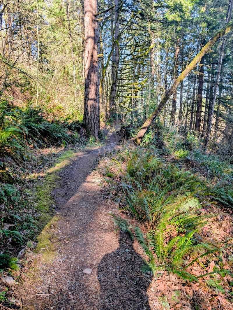 A Park Close Enough to Portland to Actually Use