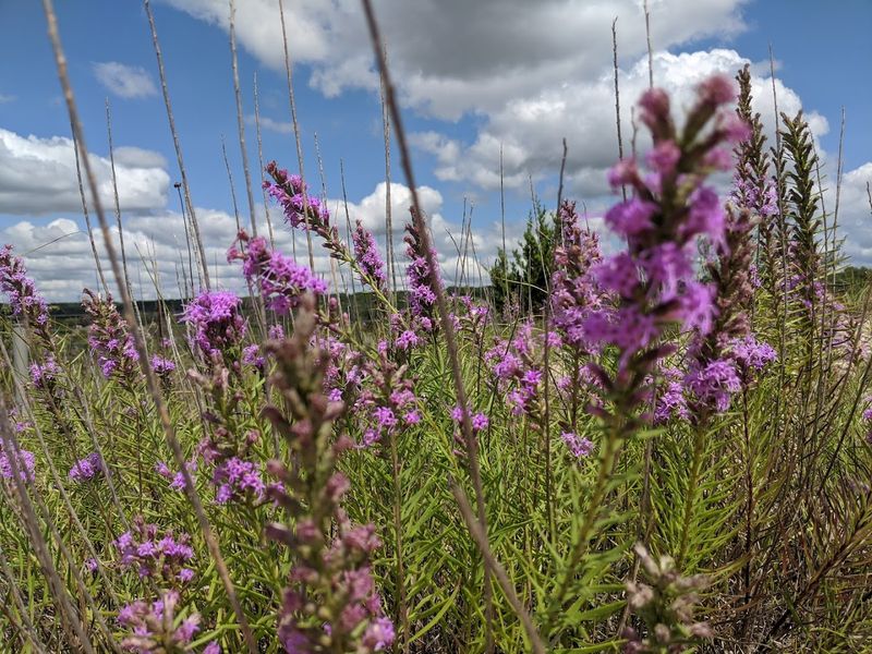 The Butterfly Garden Hidden in the Park